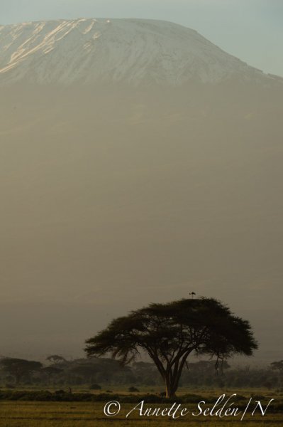 130204.513.jpg 130204.513.jpg