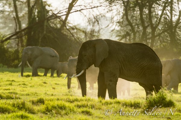 130204.799.jpg 130204.799.jpg