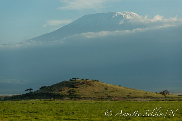 130204.803.jpg 130204.803.jpg