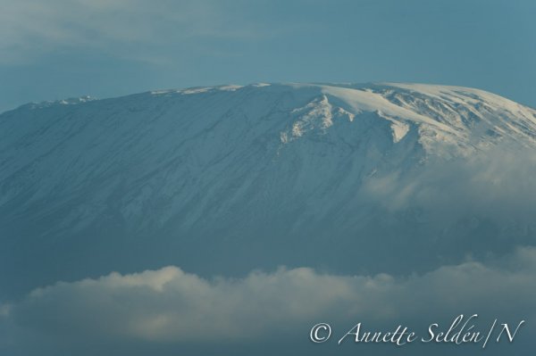 130204.808.jpg 130204.808.jpg