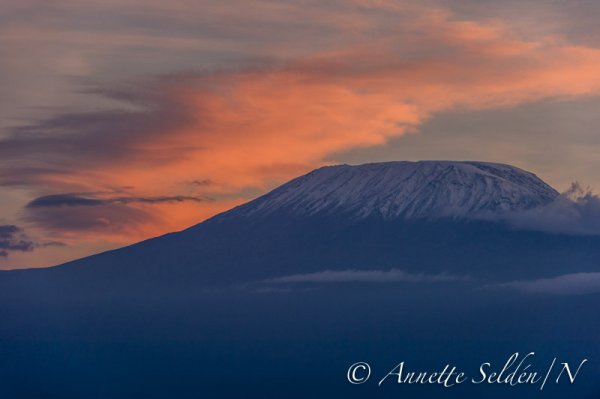 130204.813.jpg 130204.813.jpg