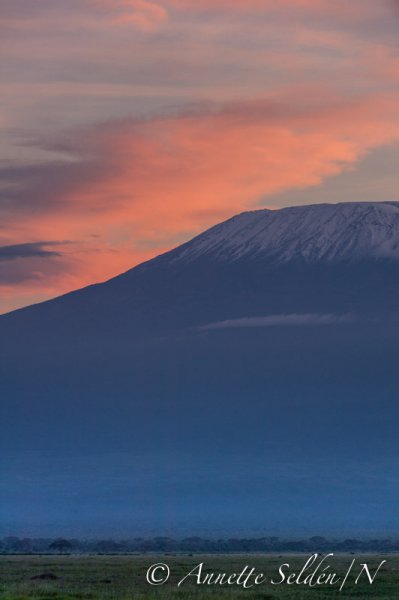 130204.815.jpg 130204.815.jpg