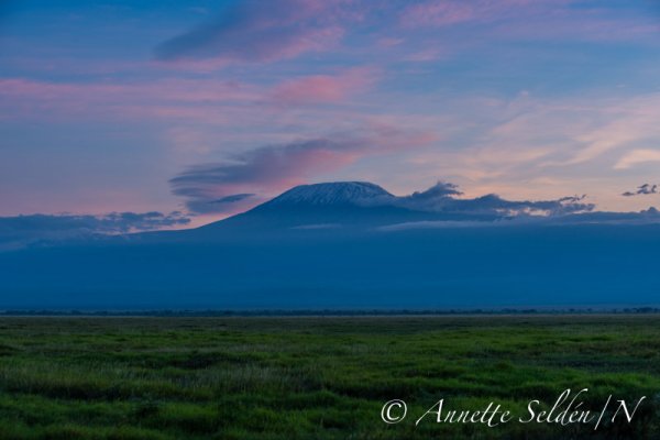 130204.816.jpg 130204.816.jpg