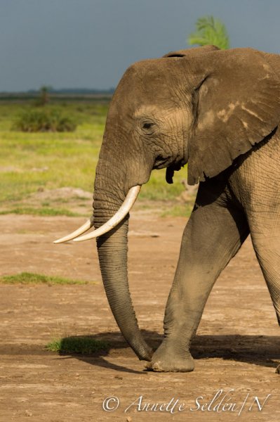 130205.861.jpg 130205.861.jpg