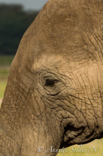 130205.865.jpg 130205.865.jpg