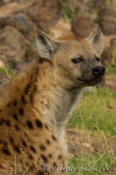 130205.899.jpg 130205.899.jpg