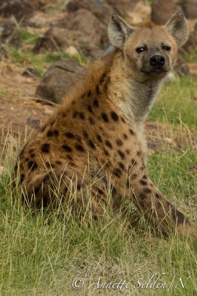 130205.900.jpg 130205.900.jpg