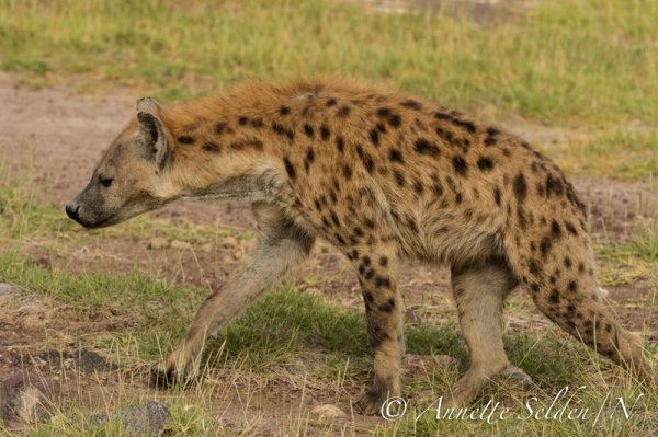 130205.918.jpg 130205.918.jpg