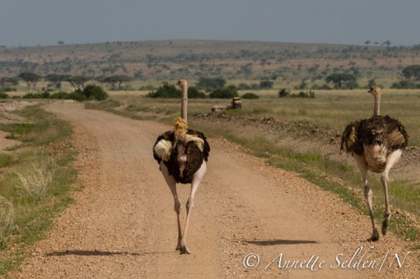 130205.926.jpg 130205.926.jpg