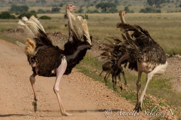 130205.927.jpg 130205.927.jpg