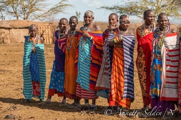 130204.656.jpg 130204.656.jpg