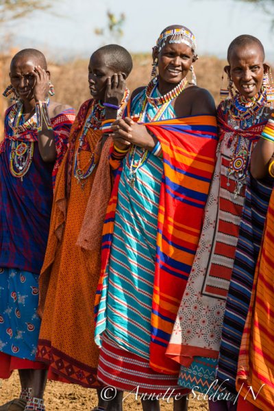 130204.657.jpg 130204.657.jpg