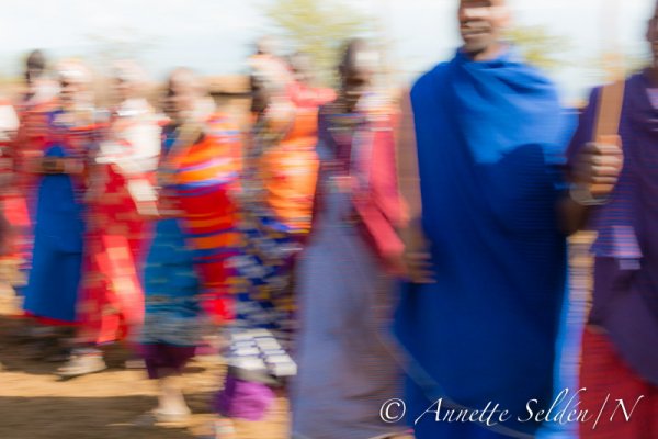 130204.673.jpg 130204.673.jpg