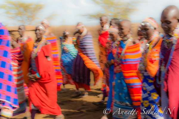 130204.678.jpg 130204.678.jpg