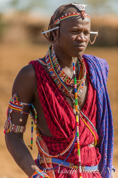 130204.683.jpg 130204.683.jpg