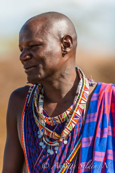 130204.684.jpg 130204.684.jpg