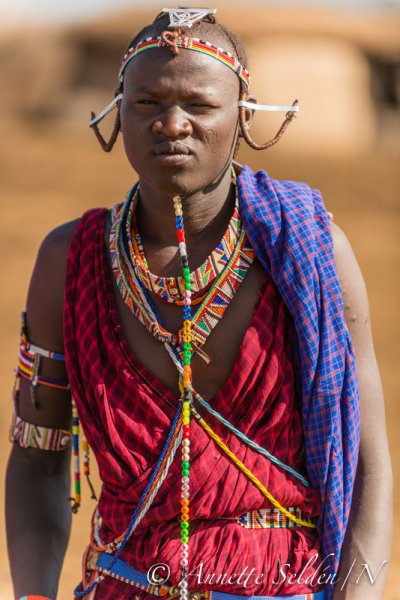 130204.686.jpg 130204.686.jpg