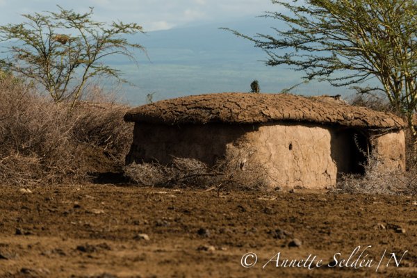 130204.687.jpg 130204.687.jpg