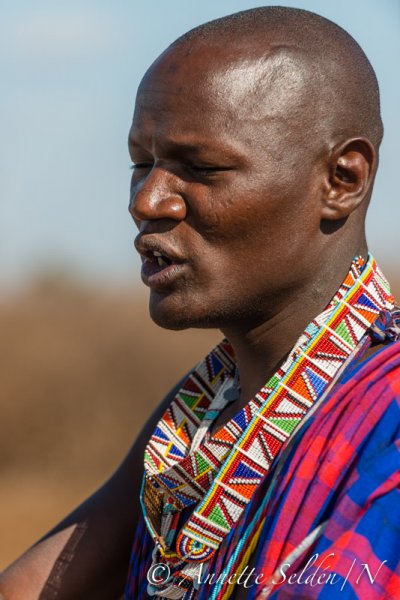 130204.695.jpg 130204.695.jpg