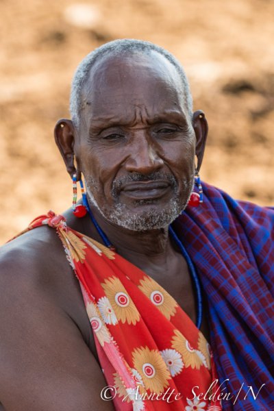 130204.706.jpg 130204.706.jpg