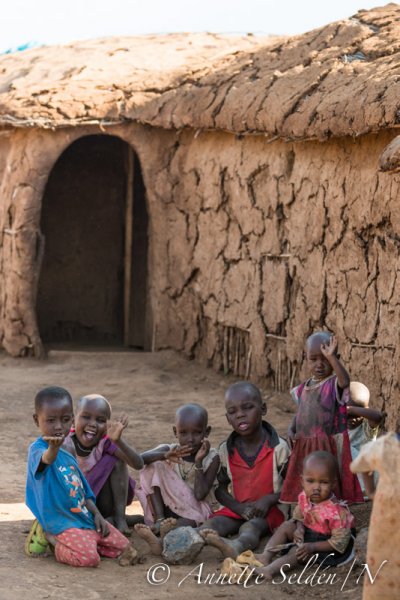 130204.725.jpg 130204.725.jpg