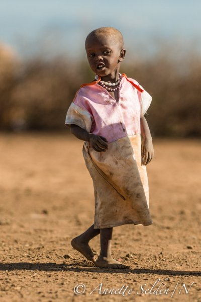 130204.731.jpg 130204.731.jpg