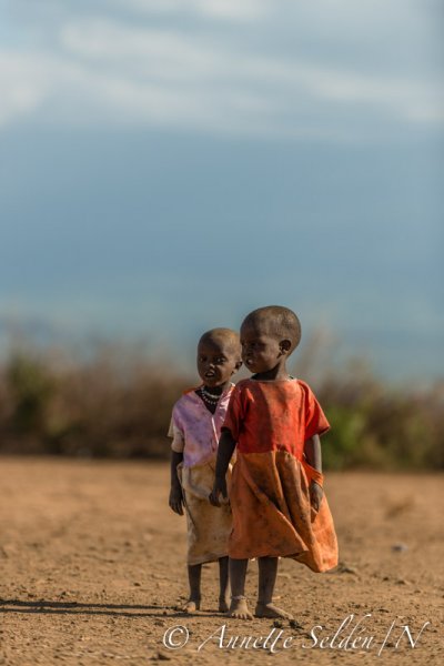 130204.733.jpg 130204.733.jpg