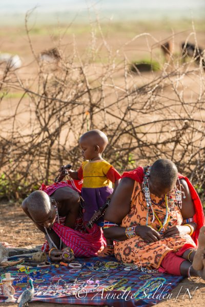 130204.754.jpg 130204.754.jpg