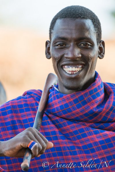 130204.782.jpg 130204.782.jpg