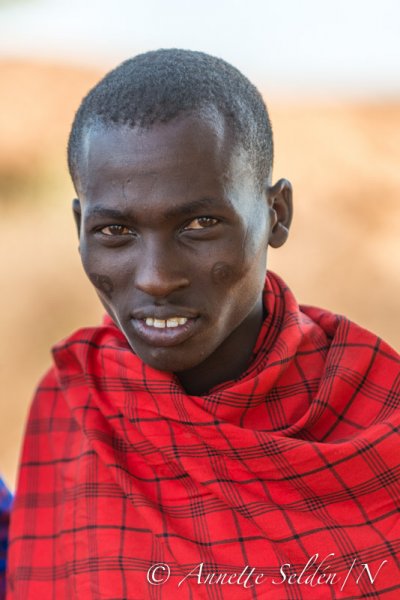 130204.784.jpg 130204.784.jpg