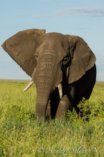 130206.050.jpg 130206.050.jpg