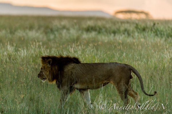 130206.062.jpg 130206.062.jpg