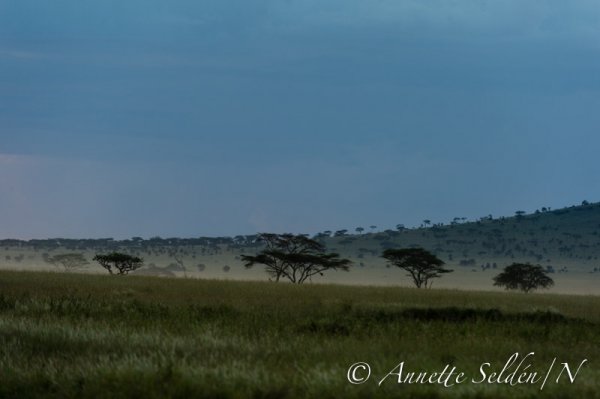 130206.072.jpg 130206.072.jpg