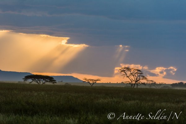 130206.073.jpg 130206.073.jpg