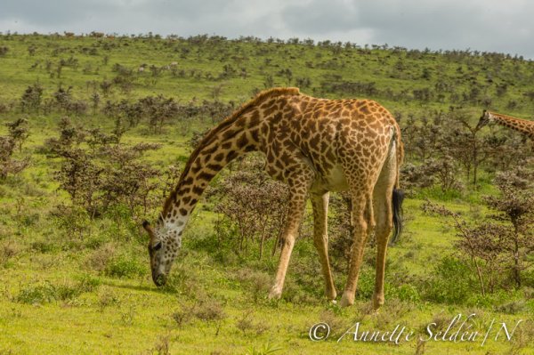 130206.1120.jpg 130206.1120.jpg