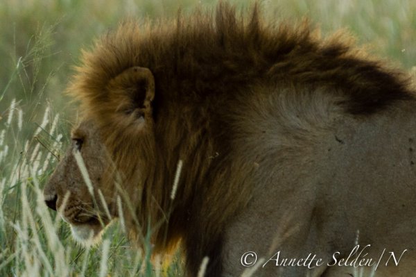 130206.1138.jpg 130206.1138.jpg