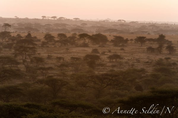 130207.1155.jpg 130207.1155.jpg