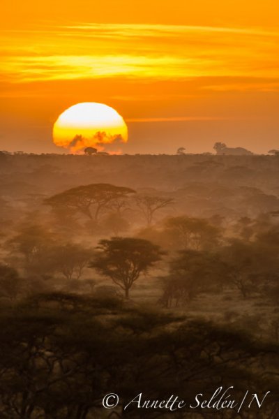 130207.1172.jpg 130207.1172.jpg