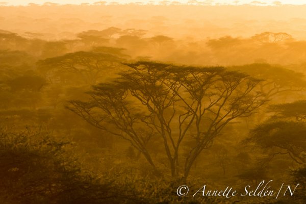 130207.1191.jpg 130207.1191.jpg