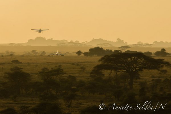 130207.1203.jpg 130207.1203.jpg