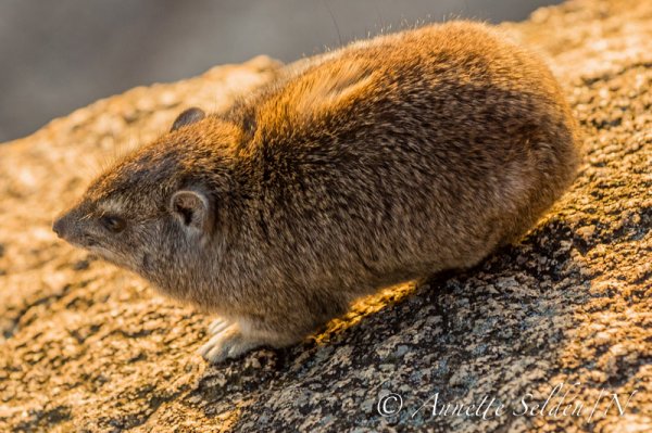 130207.1206.jpg 130207.1206.jpg