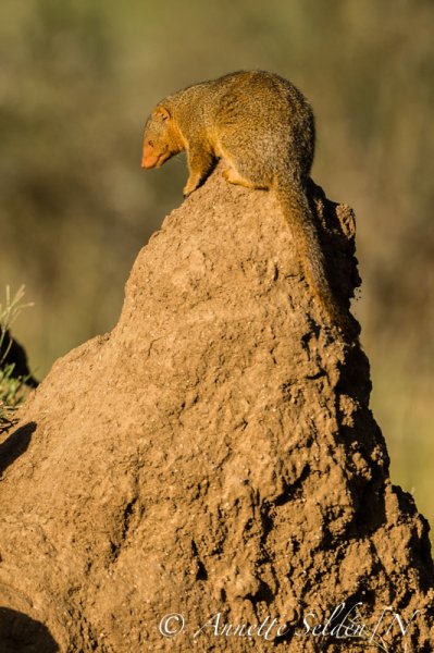 130207.1220.jpg 130207.1220.jpg