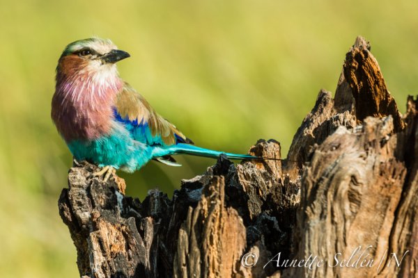 130207.1234.jpg 130207.1234.jpg