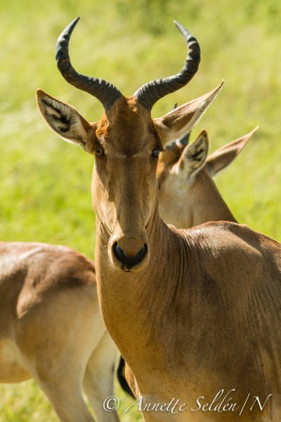 130207.1263.jpg 130207.1263.jpg