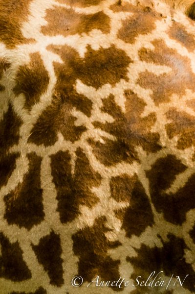 130206.039.jpg 130206.039.jpg