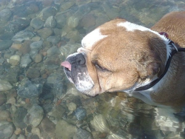 Olle badar i havet i Tyskland.JPG