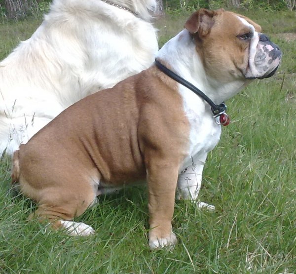 20100613 Olle vid Bocksjön.jpg