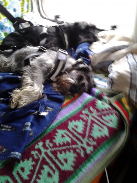 2012-11-13 13.31.03.jpg