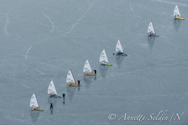 130223.005.jpg 130223.005.jpg