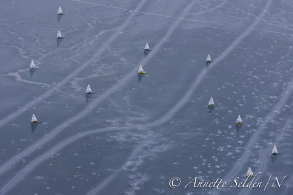 130223.061.jpg 130223.061.jpg